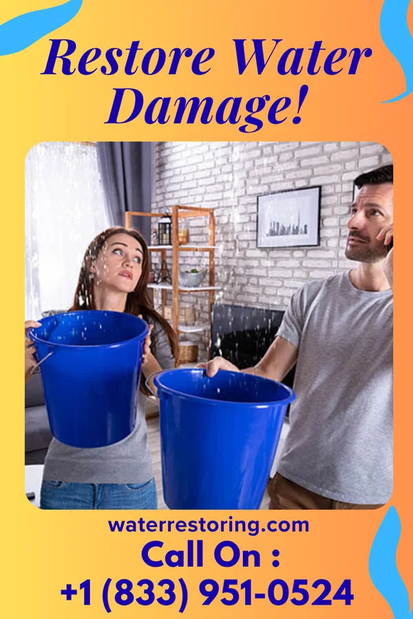 water restoration Modern Water Mitigation Co Bettsville