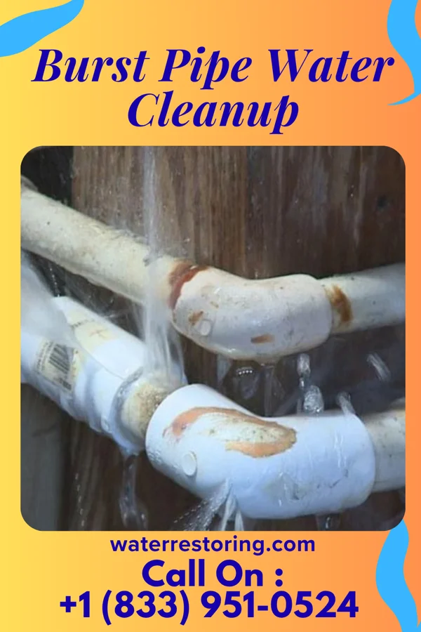 Burst Pipe Water Cleanup in Bettsville, OH