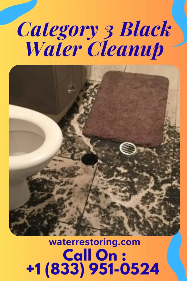 Category 3 Black Water Cleanup in Bettsville, OH