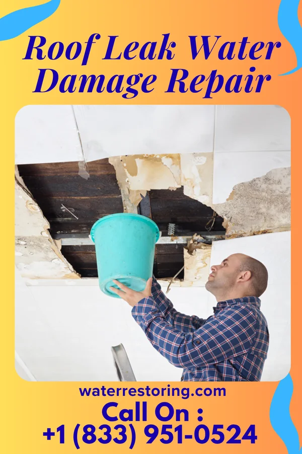 Roof Leak Water Damage Repair in Bettsville, OH