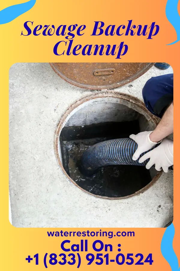 Sewage Backup Cleanup in Bettsville, OH