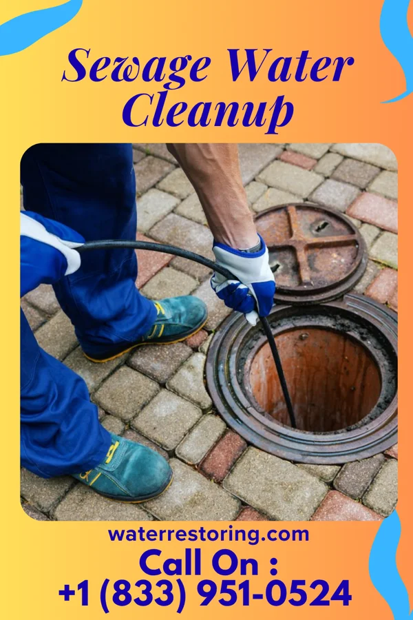 Sewage Water Cleanup in Bettsville, OH
