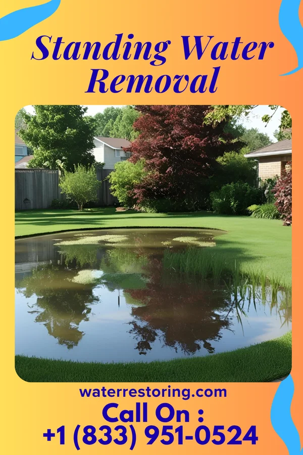 Standing Water Removal in Bettsville, OH